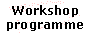 Workshop programme